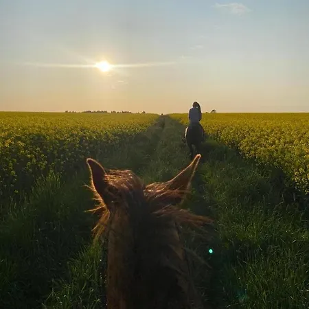 Polana Gorska Appartamento
