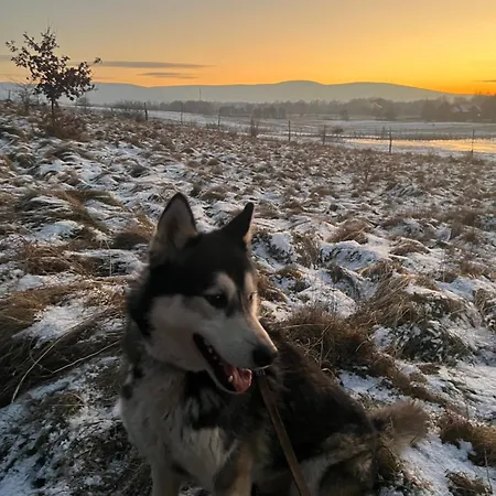 Appartamento Polana Gorska *