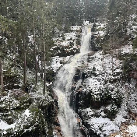 Polana Gorska * Mirsk