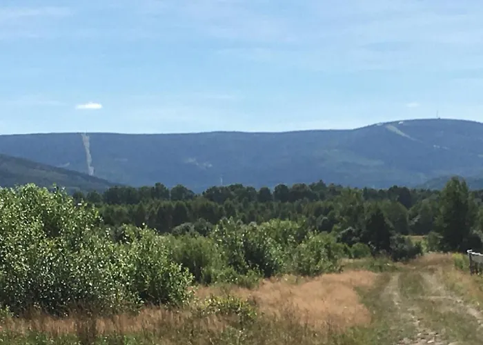 Polana Gorska Apartment *