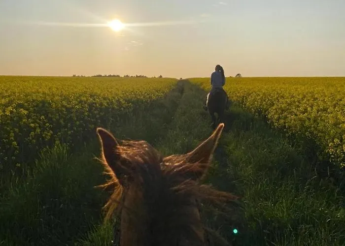 Polana Gorska Apartment
