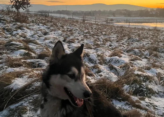 Apartment Polana Gorska *