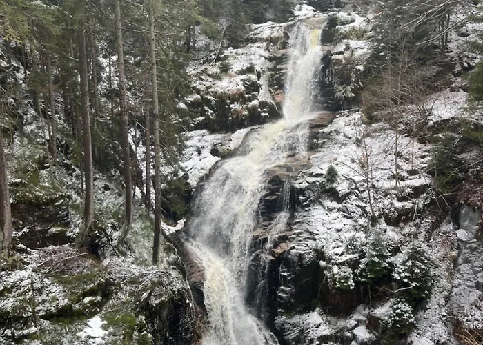 Polana Gorska * Mirsk